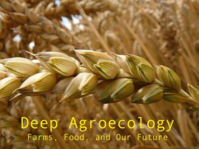 Engaging the Heart of the Earth with Deep Agroecology Image